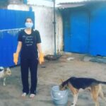 Rashmi Gautam Instagram - Yup this was me yesterday Feeding my buddies Thanx to my itchy friend @richiedhall for getting me stuck to this song This ones esply for u babes And thankyou @donatekart for making sure our strays dont go hungry in this lockdown #lockdown2020 #quarantinebirthday #27thapril2020 #rashmigautam #lifeintimesofcorona
