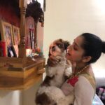 Rashmi Gautam Instagram – I was home today cause I saw the fear and panic in his eyes 
May common sense prevail 
2020 hopefully shud be a #noiseless  Diwali 
#diwali2019💥💥 #rashmigautam #lifeismagical #saynotocrackers #coexist #mybumble