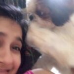 Rashmi Gautam Instagram – My needy guy 
Hates me being on phone 
#afternoonsaga #naptime😴 #bumblebee #mybumble #lifeismagical #rashmigautam