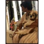 Rashmi Gautam Instagram - Pic 3 My pup has a human soul 😂😂😂😂 #mybumble #lifeismagical #pupsofinsta