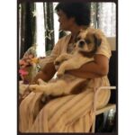Rashmi Gautam Instagram - Pic 2 The perfect #meme dog #dogmeme #lifeismagical #mybumble
