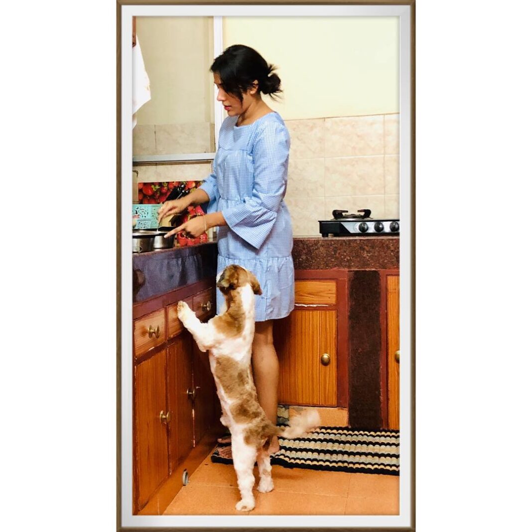 Rashmi Gautam Instagram - What’s cooking 🤨🧐🤔 P.c @malay_t #mybumble #bumble #petsofinstagram #dogmom #lifeismagical