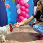 Rashmi Gautam Instagram - They are not meant to be on our plates they are meant to be equally loved Lets end #speciesism There is no such things as ethical killing let every living being LIVE AND DIE with Respect Lets learn to #coexist