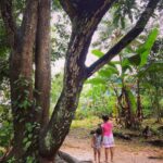 Reshmi Menon Instagram - It almost feels Magical bringing back my kids to the place where I spent the best parts of my childhood.. the memories it rekindles is just ❤️❤️ What’s your favourite childhood place and memory ? 😊 That tree right there was my fav spot to read / talk to the tree and mainly sulk when my sister fought with me 🙈😂 𝙃𝙊𝙈𝙀