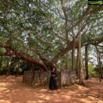 Reshmi Menon Instagram - Find me under the trees this summer 🥵 Whysohotalready ??!!! #summerforeverinchennai PC - the ever so patient @deepakparamesh. Nandri 😂