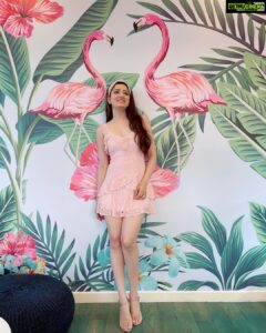 Richa Panai Instagram - Happy weekend guys!🦩🍃
.
.
.
.
.
.
.
.

.
.
.
.
.
#flamingolove #dubai #uae #instagram #love #instagood #trending #follow #like #explore #explorepage #viral #instadaily #reel #followforfollowback #likeforlikes #memes #india #photography #fashion #music #reelitfeelit #foryou #reelsindia #bollywood #likes #picoftheday #video #ootd #lookoftheday
