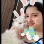 Richa Panai Instagram - My Easter bunnies!💓🐰🐈 . . . . . . . . . . . . #catmummy #catsofinstagram #kittensofinstagram #instagram #love #instagood #trending #follow #like #explore #explorepage #viral #instadaily #reel #followforfollowback #likeforlikes #memes #india #photography #fashion #music #reelitfeelit #foryou #reelsindia #bollywood #likes #picoftheday #cats #cutecats #kittens
