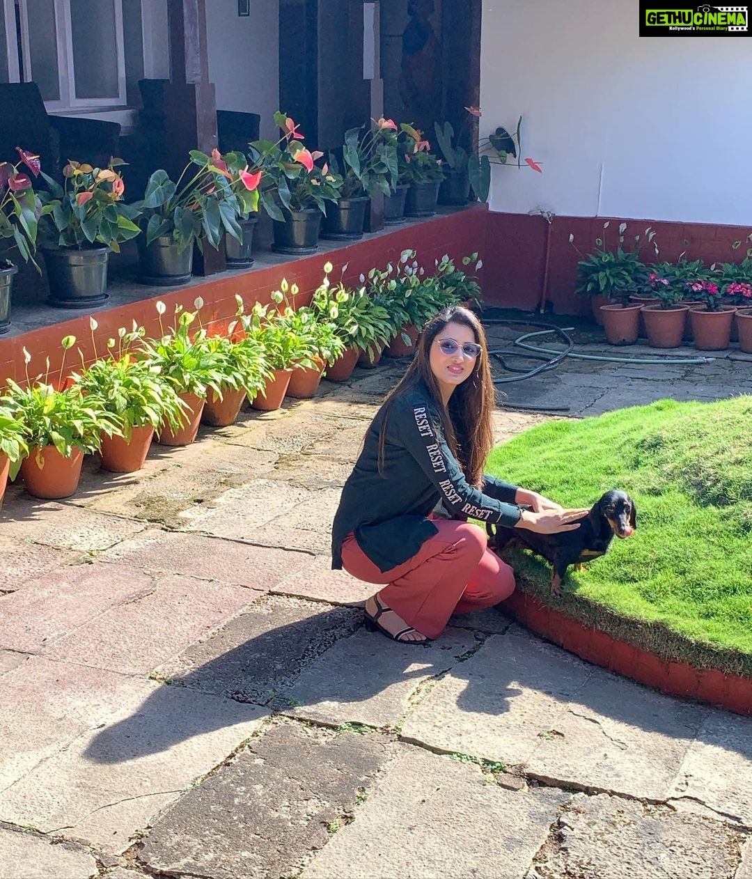 Richa Panai Instagram - Happy Sunday guys!🌺🌺🌺 . . . . . #instagram #love #reelsinstagram #tiktok #instagood #trending #follow #like #explore #explorepage #viral #instadaily #reel #followforfollowback #likeforlikes #memes #india #photography #fashion #music #reelitfeelit #foryou #reelsindia #bollywood #likes #photooftheday #video #petsofinstagram #dogsofinstagram #reels Chikmagalur