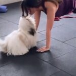 Riya Sen Instagram - Tis’ why I’m not so skinny 😈😍