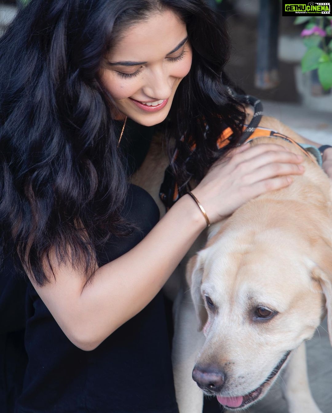 Ruhani Sharma Instagram - Loving animals shouldn’t extend only to your pets, but its very important that the products you love, love animals too! Which is why I am super proud/excited to share that Garnier is now approved by Cruelty Free International. It is ONE of the most credible international certifications for a brand. Cruelty free products are safer and kinder to our furry friends and a better option for our environment too. #AD #CrueltyFreeInternational #GarnierGreenBeauty @garnierindia . . . . 📸 @ilmanaazphotography1