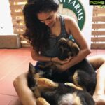 Rukmini Vijayakumar Instagram – How I wish I could still carry them !! 

Kong & Zorro 

#dogs #germanshepherd #puppies #puppy #growingup #love #unconditionallove