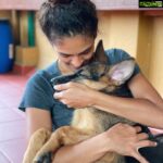 Rukmini Vijayakumar Instagram – How I wish I could still carry them !! 

Kong & Zorro 

#dogs #germanshepherd #puppies #puppy #growingup #love #unconditionallove