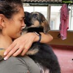 Rukmini Vijayakumar Instagram - How I wish I could still carry them !! Kong & Zorro #dogs #germanshepherd #puppies #puppy #growingup #love #unconditionallove