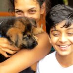 Rukmini Vijayakumar Instagram - Kong and Zorro ❤️❤️❤️ #germanshepherd #family #love #dogs #bestfriends #puppies #puppylove #puppys