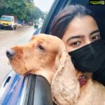 Rukshar Dhillon Instagram - All that I need on a Sunday 🐾❤️ #sundaymood #pawsome #homesweethome Bangalore, India