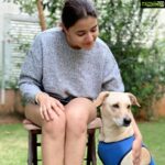 Rukshar Dhillon Instagram - All that I need on a Sunday 🐾❤️ #sundaymood #pawsome #homesweethome Bangalore, India