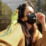 Saba Qamar Zaman Instagram – Look for the magic in every moment 🤩
🦜