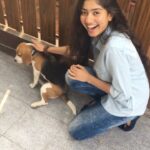 Sai Pallavi Instagram – Cookie !! ❤️️