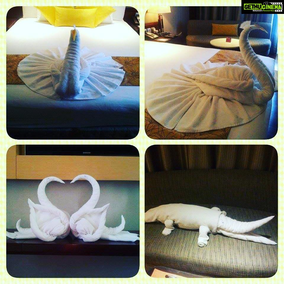 Sai Pallavi Instagram - Too much love from housekeeping and Mr. Manu<3 U guys make me feel special :* Thanks a million :* Crowne Plaza Kochi