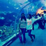 Sai Pallavi Instagram - #mygalsplaceofworship#lovewatchinghergogaaaa#dubaiday2 Dubai Aquarium & Underwater Zoo by Emaar