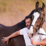 Salman Khan Instagram - Horse’s mouth ..