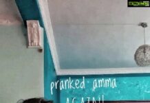 Samyuktha Hegde Instagram - Pranked amma again!! Hahahhahahahahhh Saw a friend do this and tried it on my mom, now I can't stop laughing 😅😅 She followed all the instructions with so much concentration! #thetoiletprank #momandsam #prankedammaagain #joke #prank