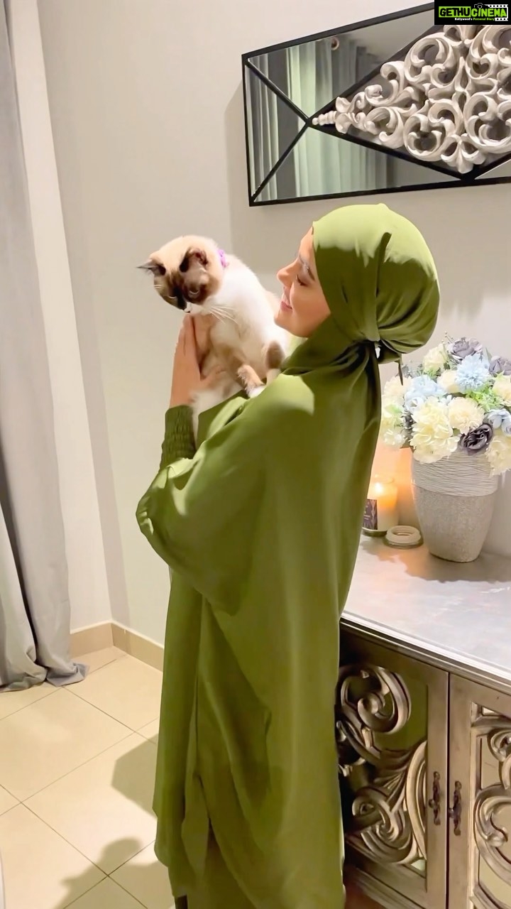 Sana Khan Instagram - She is soooo cute 🥰 . . . . . #sanakhan #anassaiyad #sanaanas #cats #lovethem #playtime