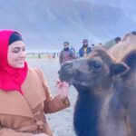 Sana Khan Instagram - Ladakh 💥 Alhamdullilah Finally we made it to Ladakh yeahhh😁 So basically these camels have 2 humps. They are called bactrain camels. . . . #ladakh #leh #camel #desert #nubravalley #alhamdulillah #sanakhan #anassaiyad #sanaanas #beautiful #mountains