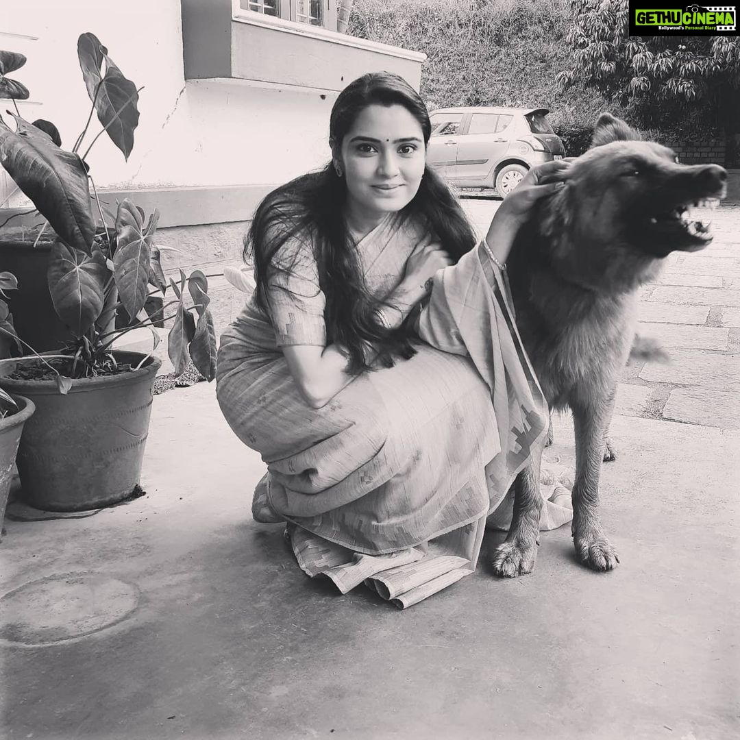Sangeetha Bhat Instagram - Jango the handsome German Shepard..... 🐕 #animalsofinstagram #germanshepherd #dogsofinstagram #doglover #shootlife #grateful #gratitude #sangeethabhatsudarshan #sangeethabhat #actresslife #actressforever #homestay #bungalow #mudigere #belur Mudigere