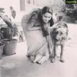 Sangeetha Bhat Instagram - Jango the handsome German Shepard..... 🐕 #animalsofinstagram #germanshepherd #dogsofinstagram #doglover #shootlife #grateful #gratitude #sangeethabhatsudarshan #sangeethabhat #actresslife #actressforever #homestay #bungalow #mudigere #belur Mudigere