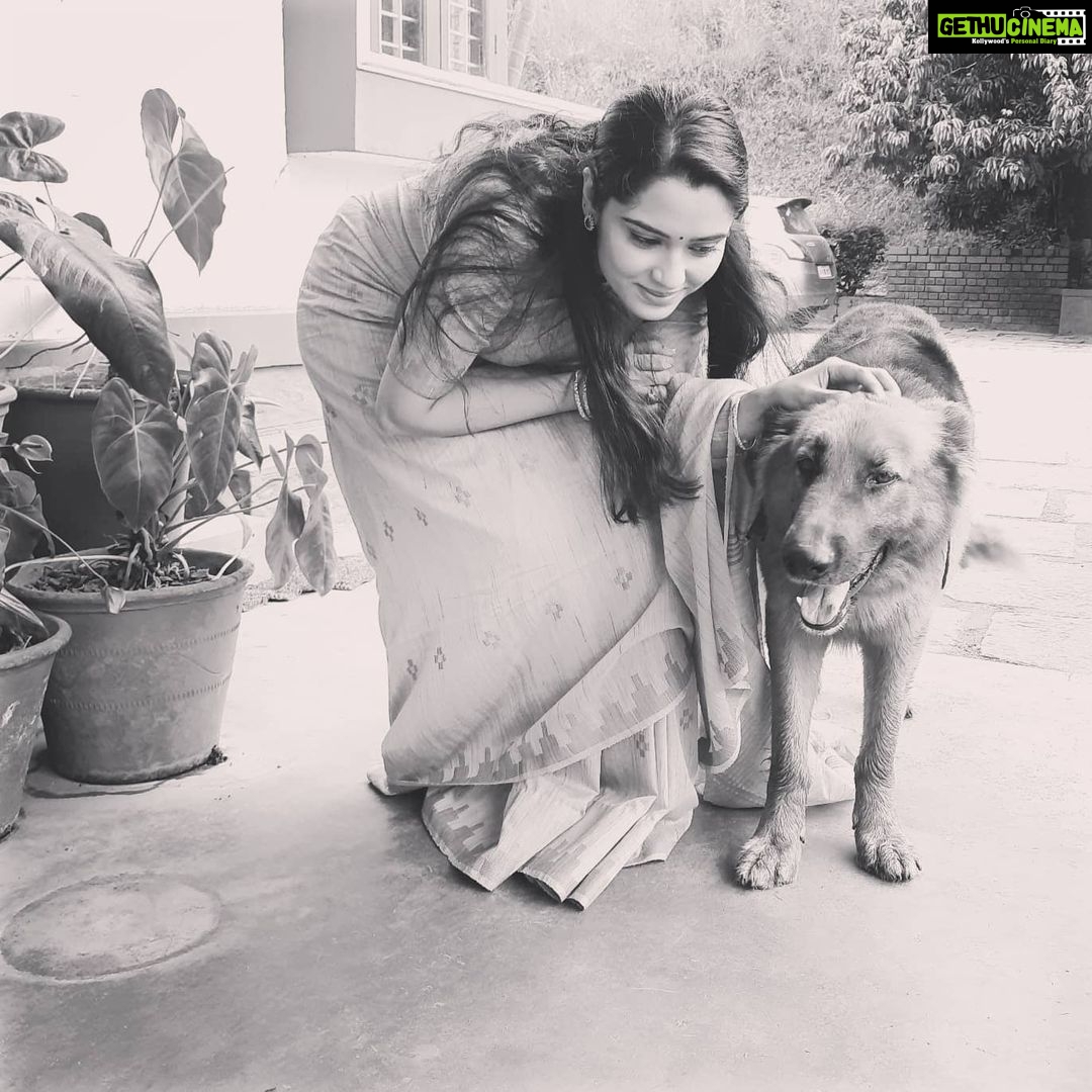 Sangeetha Bhat Instagram - Jango the handsome German Shepard..... 🐕 #animalsofinstagram #germanshepherd #dogsofinstagram #doglover #shootlife #grateful #gratitude #sangeethabhatsudarshan #sangeethabhat #actresslife #actressforever #homestay #bungalow #mudigere #belur Mudigere