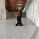 Sanjana Singh Instagram – When you practice yoga once a week you change your mind. When you practice twice a week ok you change your body. When you practice yoga everyday, you will change your life, Happy international yoga day. At park Hyatt hotel 
#internatinalyogaday
#yoga #instadaily #happy #yogapractice #yogaday #yogaposes #yogalife #yogaeveryday #reels #keepgoing #staytuned