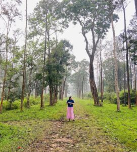 Sanusha Instagram - മരം ഒരു വരം. 
ആണല്ലോ ?
പിന്നെ എന്ത് ഓഞ്ഞ Specialized വരത്തിനു വേണ്ടി ആണ് നമ്മളൊക്കെ പ്ലാസ്റ്റിക് waste കൊണ്ട് ഇടണേ !!? 

p.s., ഉവ്വ്... ഇത്രേം ദണ്ണം ഉള്ള ആൾ തന്നെ എടുത്ത് കളഞ്ഞിരുന്നു. 

- എന്ന് നന്നാവാനാ എന്ന് നന്ന ആയികൊണ്ടിരിക്കുന്ന ഒരു പാവം Nature lover / പ്രകൃതി സ്‌നേഹി 👀🤐

~~ ശേ ! ആ പാട്ടിന്റെ flow അങ്ങട് പോയി 😪

#save #our #planet #lets #build #betterfuture #moregreen #itishappiness #mothernature #earth #aduthamarupadivarunnamunnenjanpote #peace ✌🏼🤓