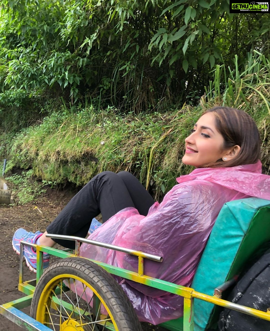 Sayyeshaa Saigal - 252.4K Likes - Most Liked Instagram Photos