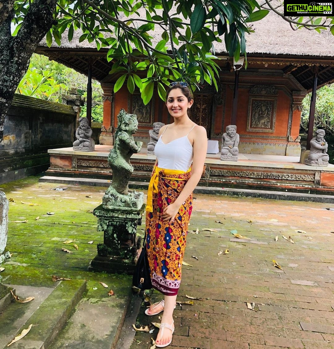 Sayyeshaa Saigal - 223.3K Likes - Most Liked Instagram Photos