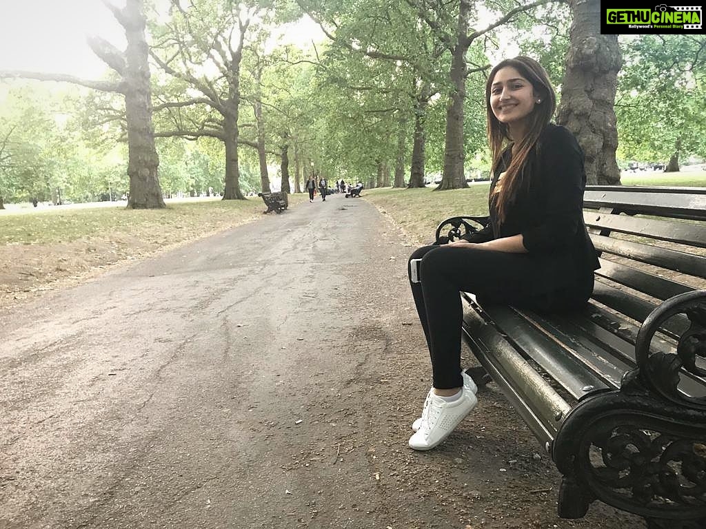 Sayyeshaa Saigal - 238.4K Likes - Most Liked Instagram Photos