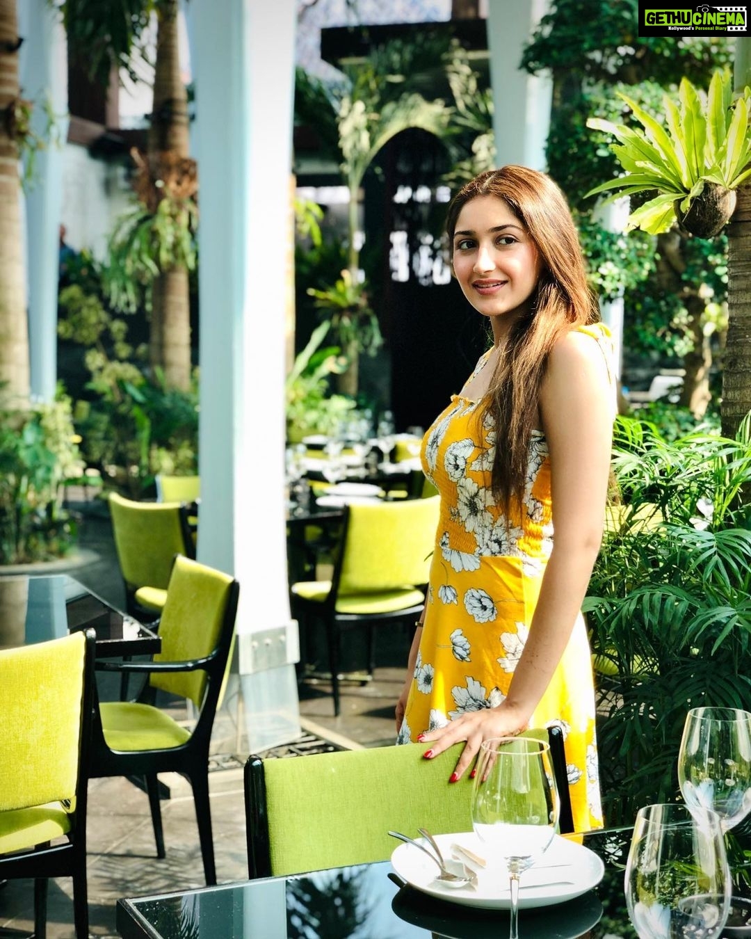 Sayyeshaa Saigal - 225.2K Likes - Most Liked Instagram Photos