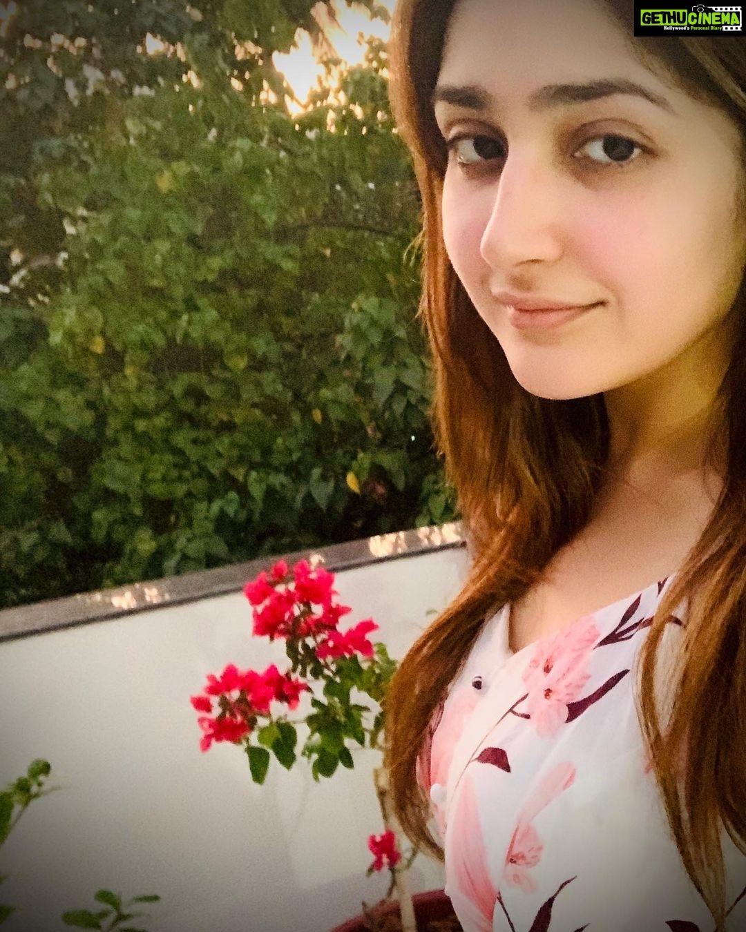 Sayyeshaa Saigal - 187.4K Likes - Most Liked Instagram Photos