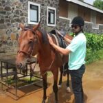 Shakti Arora Instagram - The path to healing is not just therapeutic treatments but also spending time with animals. My first experience with the horses at @fazlaninaturesnest was splendid as I spent time horse riding, grooming and feeding them. #Horse #love #animaltherapy