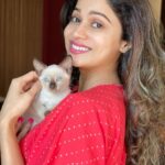 Shamita Shetty Instagram - N just like that.. she walked right into my heart❤️My lil munchkin ❤️ Phoebee ❤️ #siamese #kittenalert #catsofinstagram #kittensofinstagram #cutenessoverload #love #instapic #instadaily