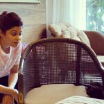Shamita Shetty Instagram - My lil princess 🐱🙆‍♀️ n videographer @theshilpashetty .. always captures the cutest moments !!!❤️😘 #kikidiaries #kiki #kittensofinstagram #catgram #kittens #loveofmylife #cute #instavideo #instadaily