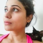 Shamita Shetty Instagram – Love ❤️ #kikidiaries #kiki #kittensofinstagram #catgram #instadaily #instamood #instalove