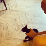 Shamita Shetty Instagram - Quite a feisty one ! 🤓videography n background commentary by #munki @theshilpashetty 🙆‍♀️#kikidiaries 🐱#kiki #catsofinsta #cute #kittensofinstagram #kittens #love 🐱❤️😘