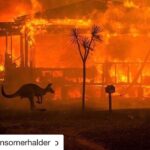 Shamita Shetty Instagram - #Repost @iansomerhalder with @get_repost ・・・ #Repost @leonardodicaprio with @get_repost ・・・ #Regram #RG @gretathunberg: Australia is on fire. And the summer there has only just begun. 2019 was a year of record heat and record drought. Today the temperature outside Sydney was 48,9°C. 500 million (!!) animals are estimated dead because of the bushfires. Over 20 people have died and thousands of homes have burned to ground. The fires have spewed 2/3 of the nations national annual CO2 emissions, according to the Sydney Morning Herald. The smoke has covered glaciers in distant New Zealand (!) making them warm and melt faster because of the albedo effect. And yet. All of this still has not resulted in any political action. Because we still fail to make the connection between the climate crisis and increased extreme weather events and nature disasters like the #AustraliaFires That has to change. And it has to change now. My thoughts are with the people of Australia and those affected by these devastating fires.