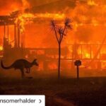 Shamita Shetty Instagram – #Repost @iansomerhalder with @get_repost
・・・
#Repost @leonardodicaprio with @get_repost
・・・
#Regram #RG @gretathunberg: Australia is on fire. And the summer there has only just begun. 2019 was a year of record heat and record drought. Today the temperature outside Sydney was 48,9°C. 500 million (!!) animals are estimated dead because of the bushfires. Over 20 people have died and thousands of homes have burned to ground. The fires have spewed 2/3 of the nations national annual CO2 emissions, according to the Sydney Morning Herald. The smoke has covered glaciers in distant New Zealand (!) making them warm and melt faster because of the albedo effect.
And yet. All of this still has not resulted in any political action. Because we still fail to make the connection between the climate crisis and increased extreme weather events and nature disasters like the #AustraliaFires
That has to change.
And it has to change now. My thoughts are with the people of Australia and those affected by these devastating fires.