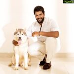 Shanmuga Pandian Instagram – Happy international dog day 🐶 #happyinternationaldogday