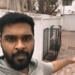 Shanmuga Pandian Instagram - Happy Lockdown with him 🐥 . . . #happylockdown#lockdown#cockatoo#bird#instareels#reels#lockdowndiaries#mylover#lover#shanmugapandian