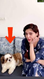 Sherin Instagram - Look at his face. 😂😂😂
New trend- call out your pup’s name when they are right next to you, film it and tag me, I wanna see their adorable reactions. 🥺🥺
@officialjoshapp 
.
.
.
.
#love #dog #shihtzu #cute #puppy #pup #sherin #biggboss #biggbosstamil #mylove #mybaby