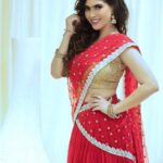 Sherin Instagram - There's nothing you can throw at me that I can't catch and turn it into art. ❤️ Makeup and hair - @curly_hair_stories @makeupbyshreajha photographer - @jotophotography . . . . . . #sherin #halfsaree #tamil #biggboss #biggbosstamil #love #fashion #red #makeup #hair #curlyhair