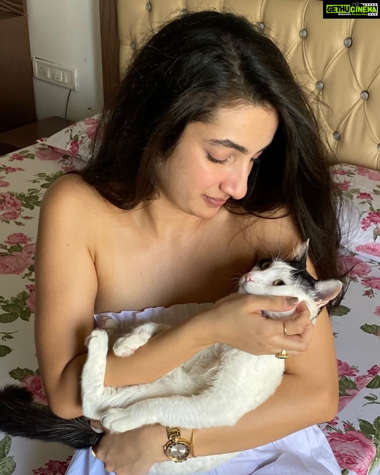 Sherlin Seth Instagram - My lil muffin π€ππ€ PS: The only reason he stayed in my arms for so long (11 seconds to be precise) is because I gave him treats after π π· @kratinc . #catmom #catsofinstagram #catlover #cat #sherlinseth #cute #cutecat #meow #bollywoodsong #bollywood #foryoupage #forme #viralpost #cats